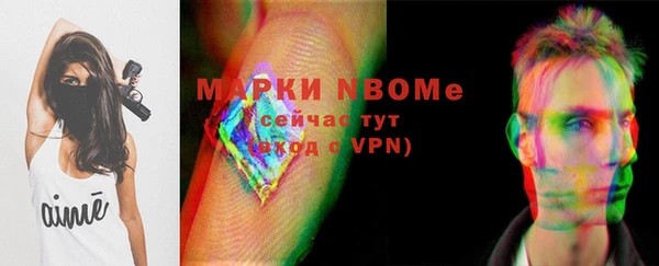 трава Новозыбков