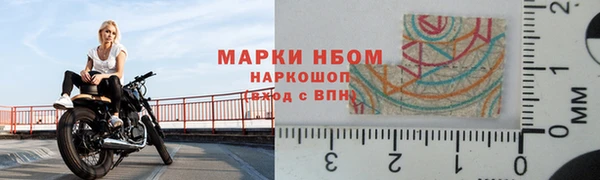 эйфоретик Новокубанск