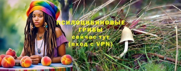 МДМА Новодвинск