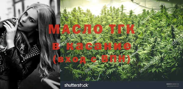 трава Новозыбков