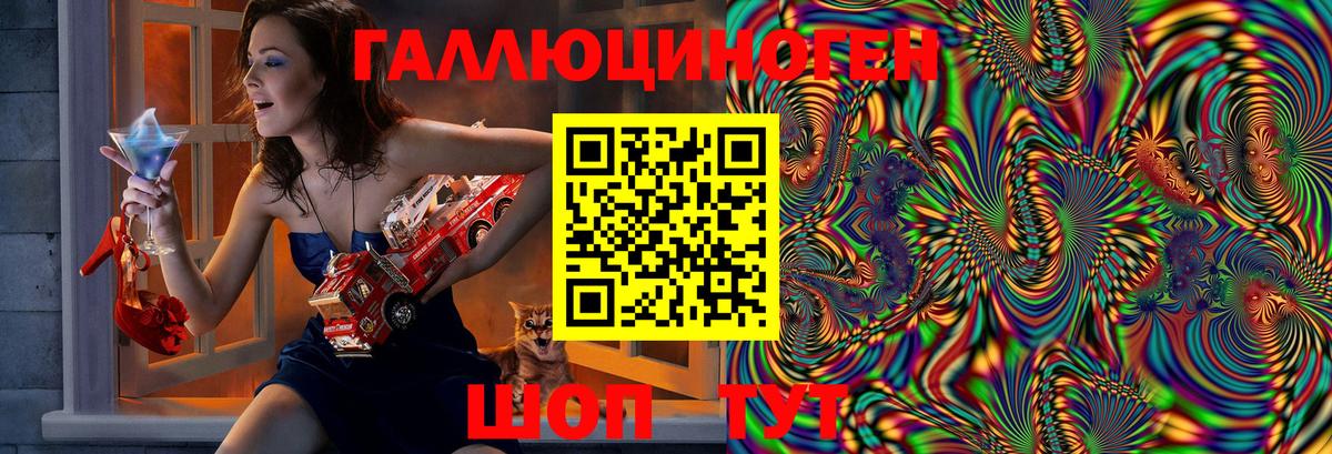 Псилоцибиновые грибы Psilocybine cubensis  Псилоцибиновые грибы прущие грибы  Вход с VPN  Кунгур 
